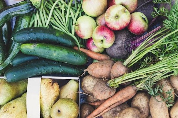 Les légumes de saison les moins chers : nos suggestions pour un budget alimentaire équilibré